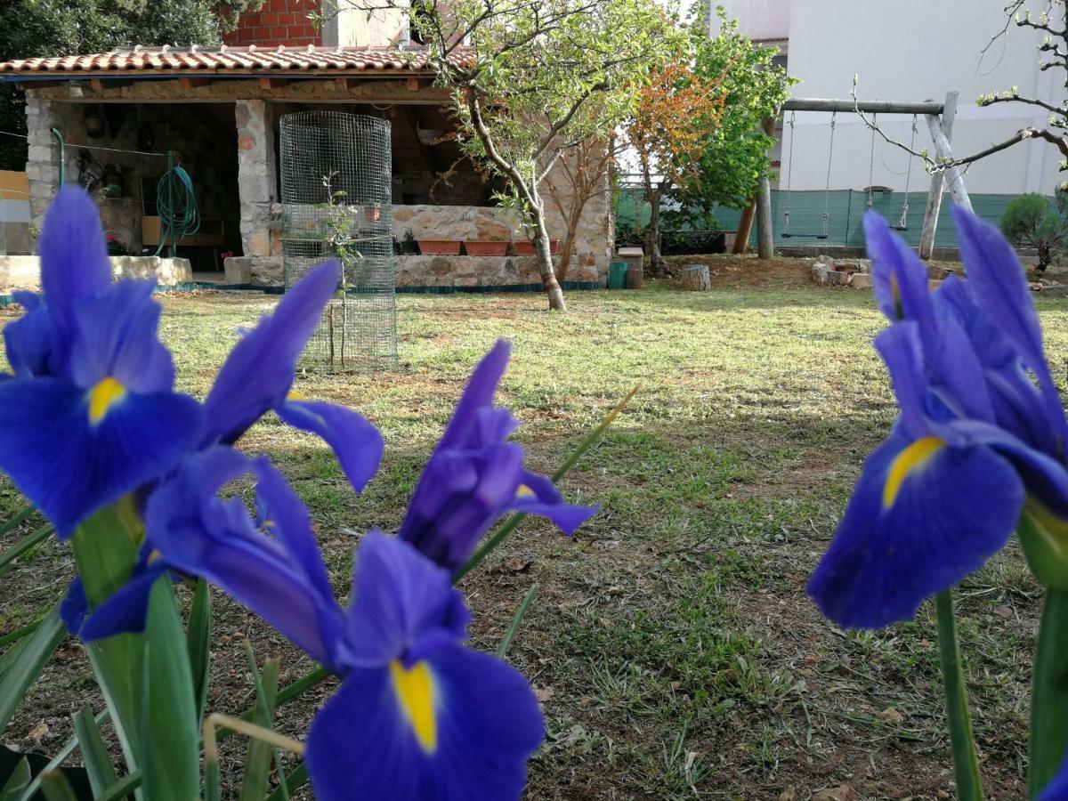 Apartments Gorka Vodice Bagian luar foto